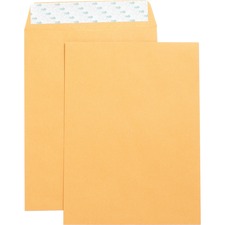 Business Source BSN42120 Envelope