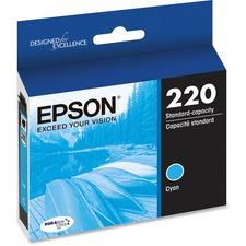 Epson T220220S Ink Cartridge