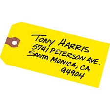 Avery AVE12325 Shipping Tag