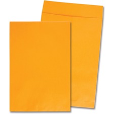 Quality Park QUA42353 Envelope